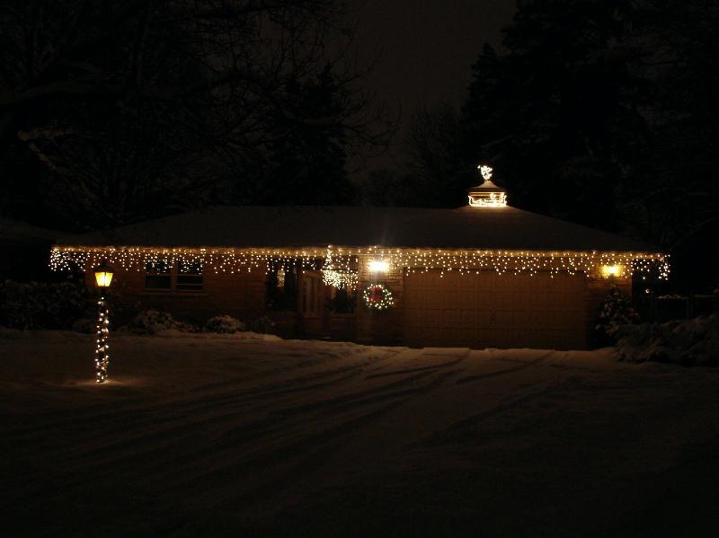 DSC01817.jpg -   Neczwid Home for the Holidays  